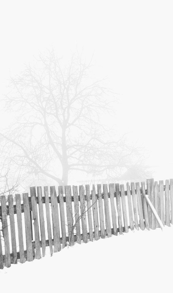 Photograph by Ольга Богорад