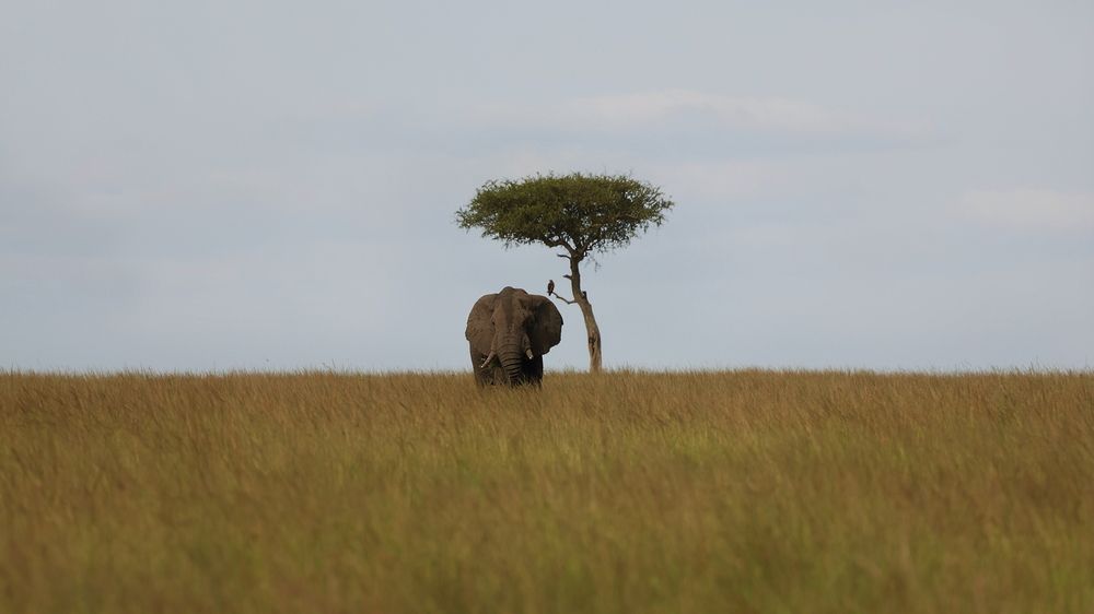 Photograph by Sanjay Risbood