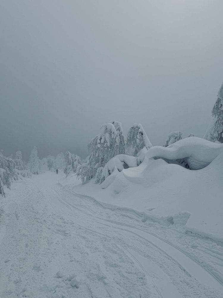 Photograph by Ксения Юртаева