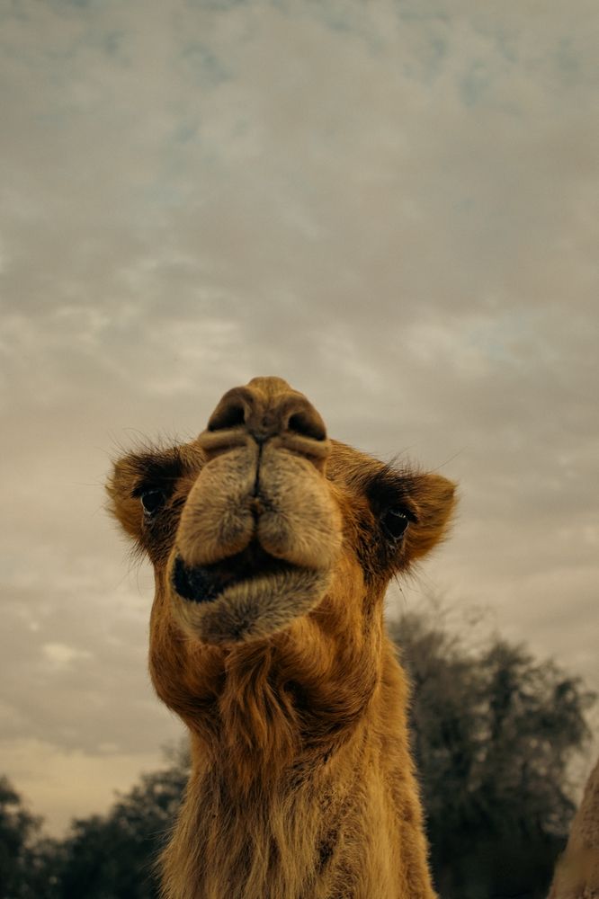 Photograph by Himesh Soni