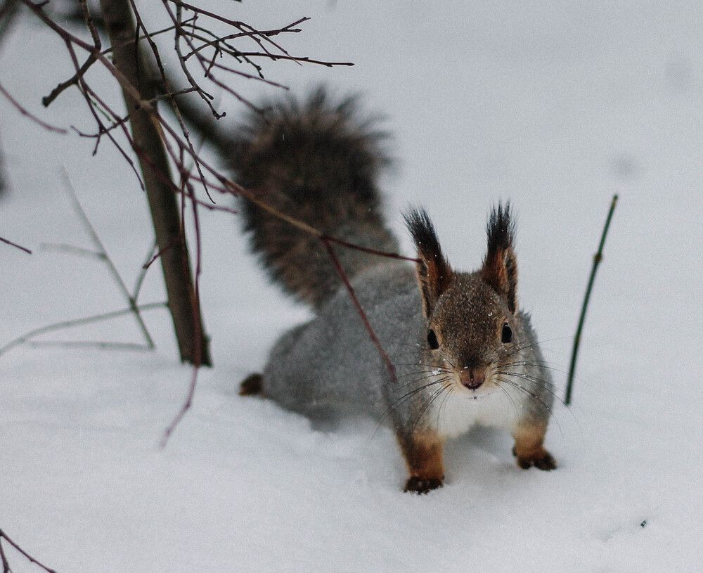 Photograph by Любовь Иванова
