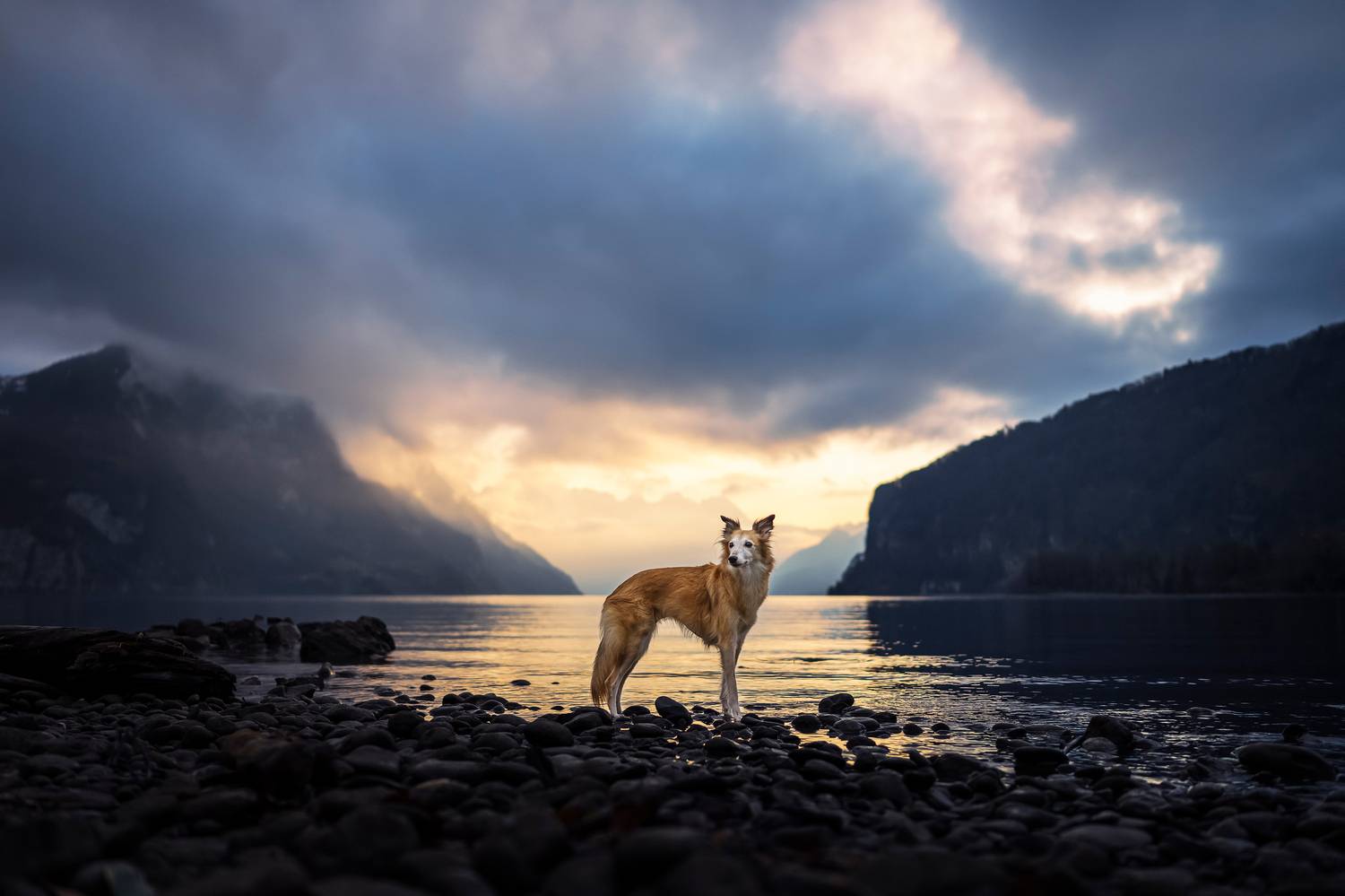 Фотография #11888128