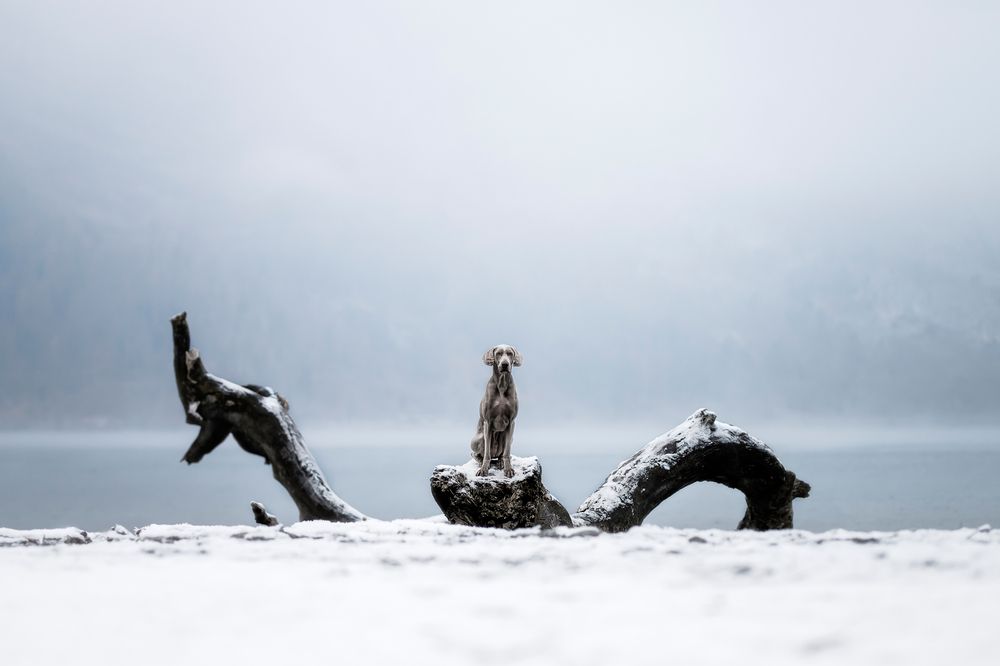 Photograph by karin bruhin