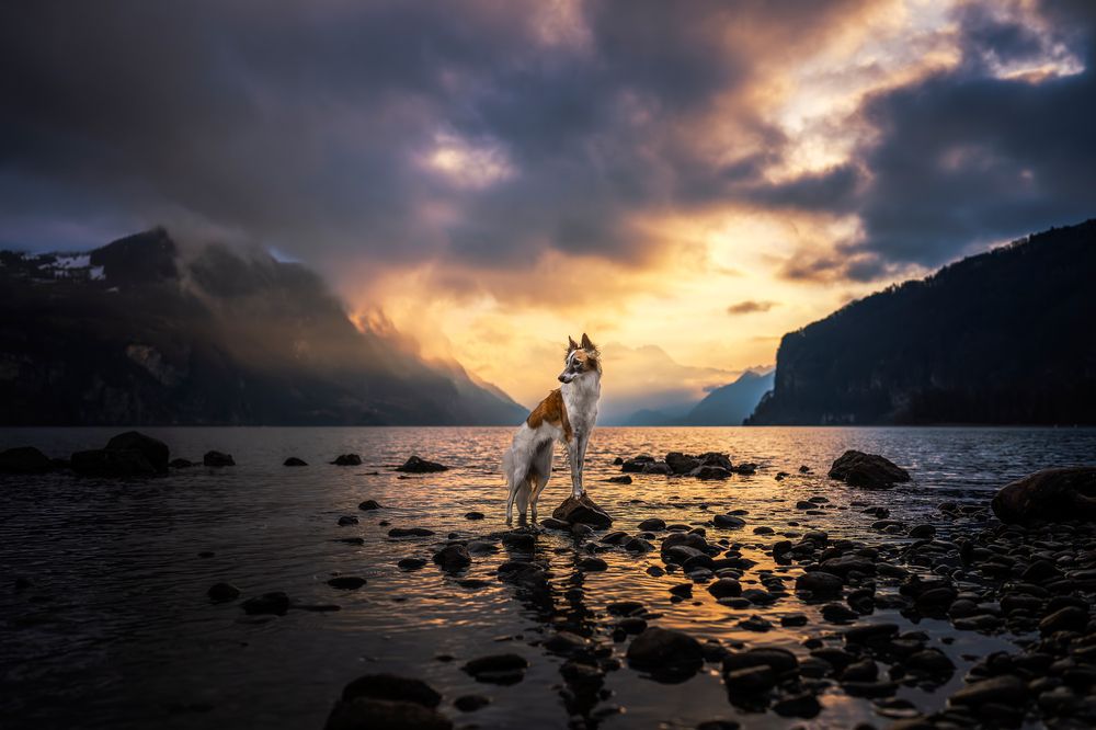 Photograph by karin bruhin