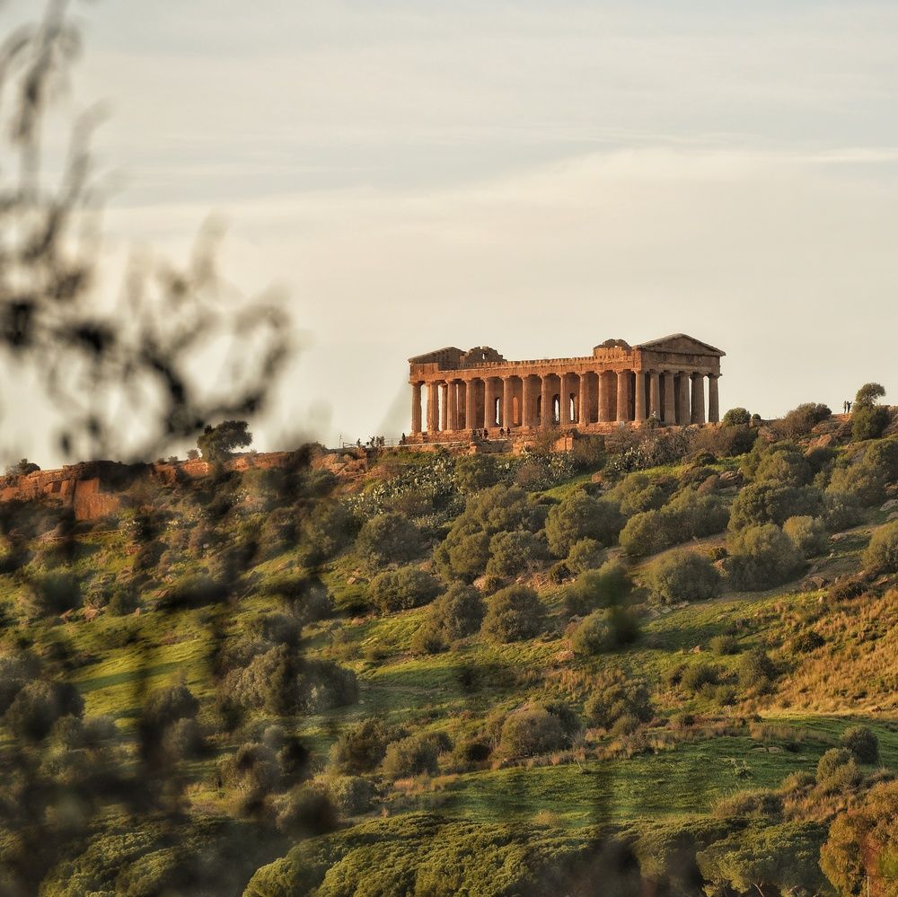 Фотография автора Vincenzo Tedesco