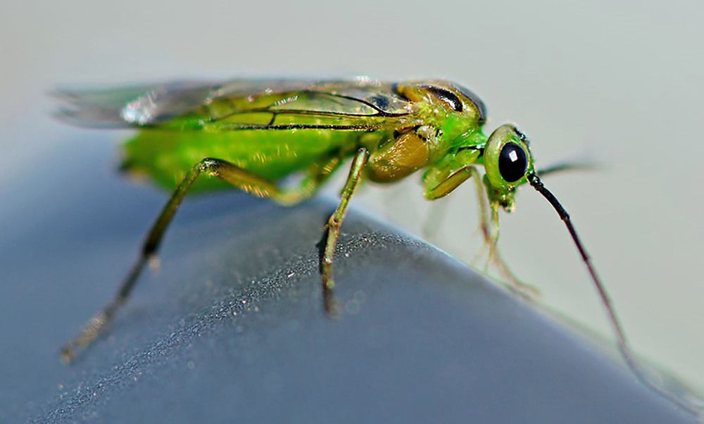 Photograph by Marjo Steffen