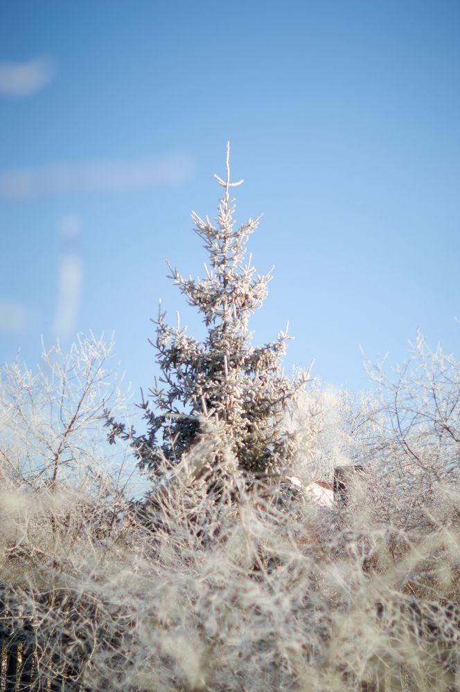 Photograph by Маргарита Гасец