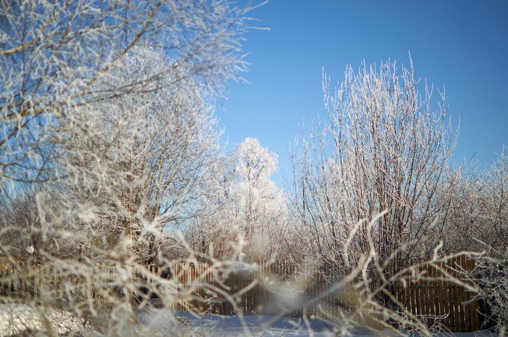 Photograph by Маргарита Гасец