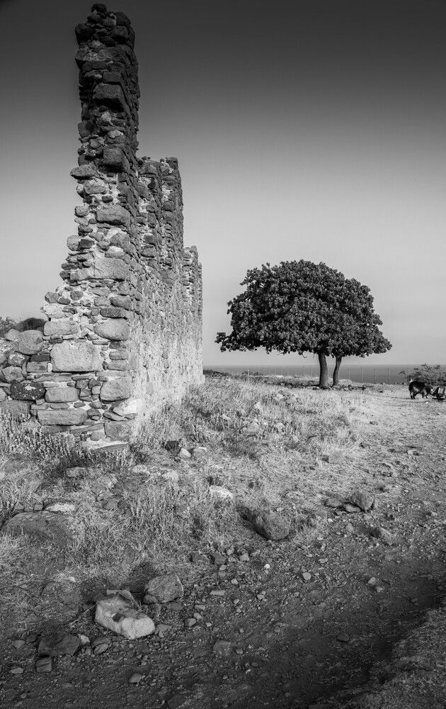 Фотография автора DIMITRIS MPAZIOTOPOULOS