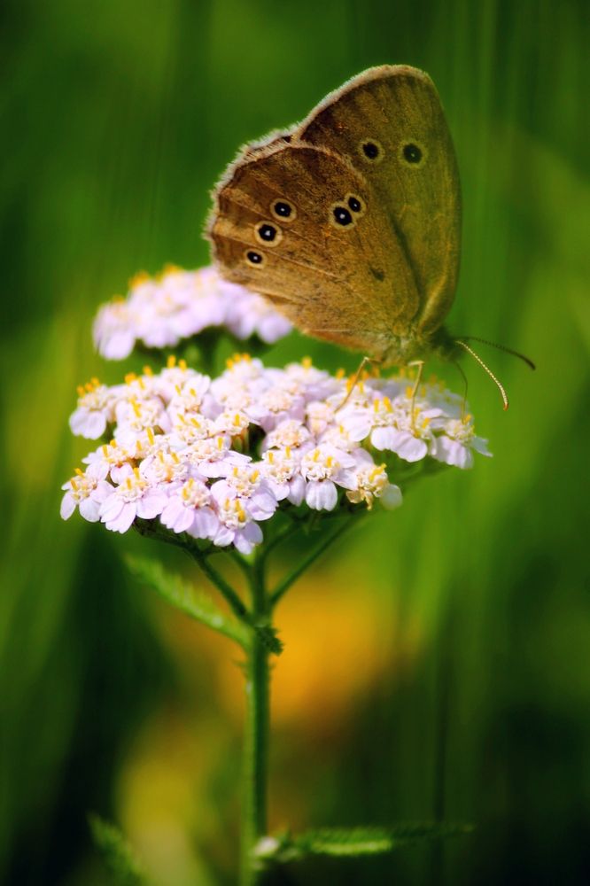 Photograph by Марина Мишутина