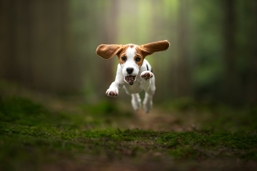 Photograph by karin bruhin