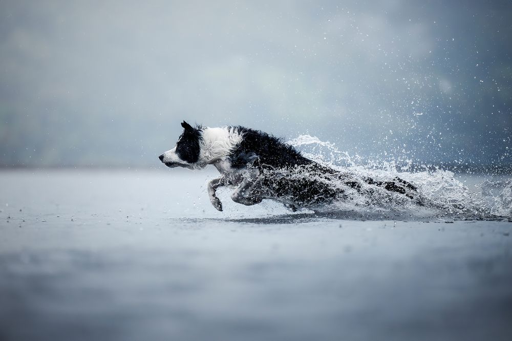 Photograph by karin bruhin