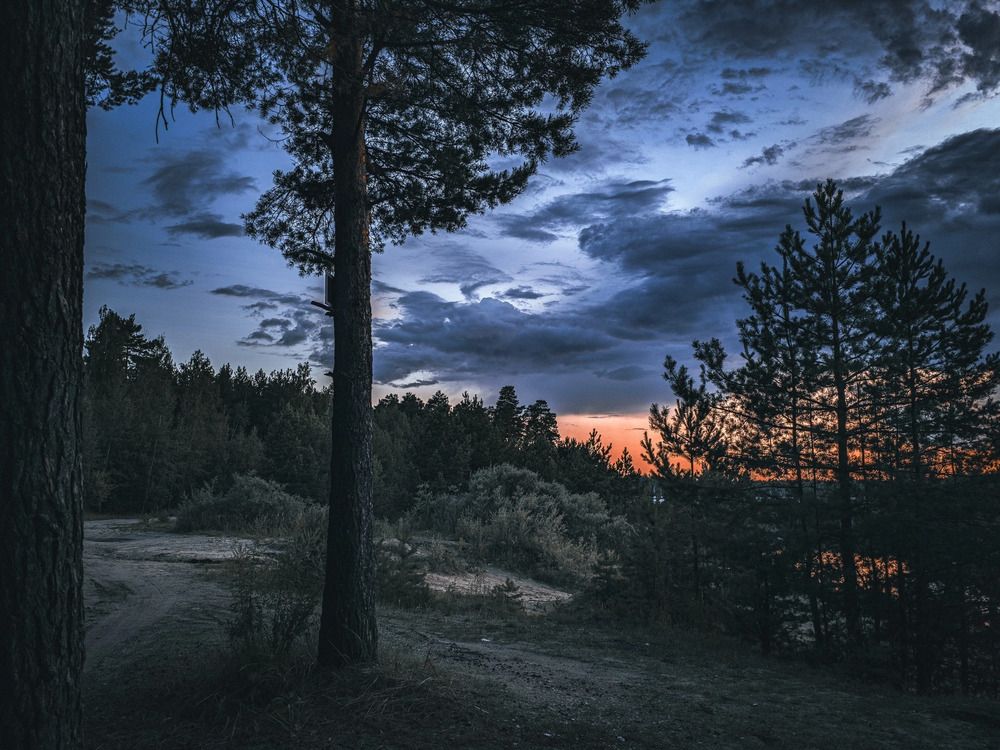 Photograph by Кирилл Сидоров