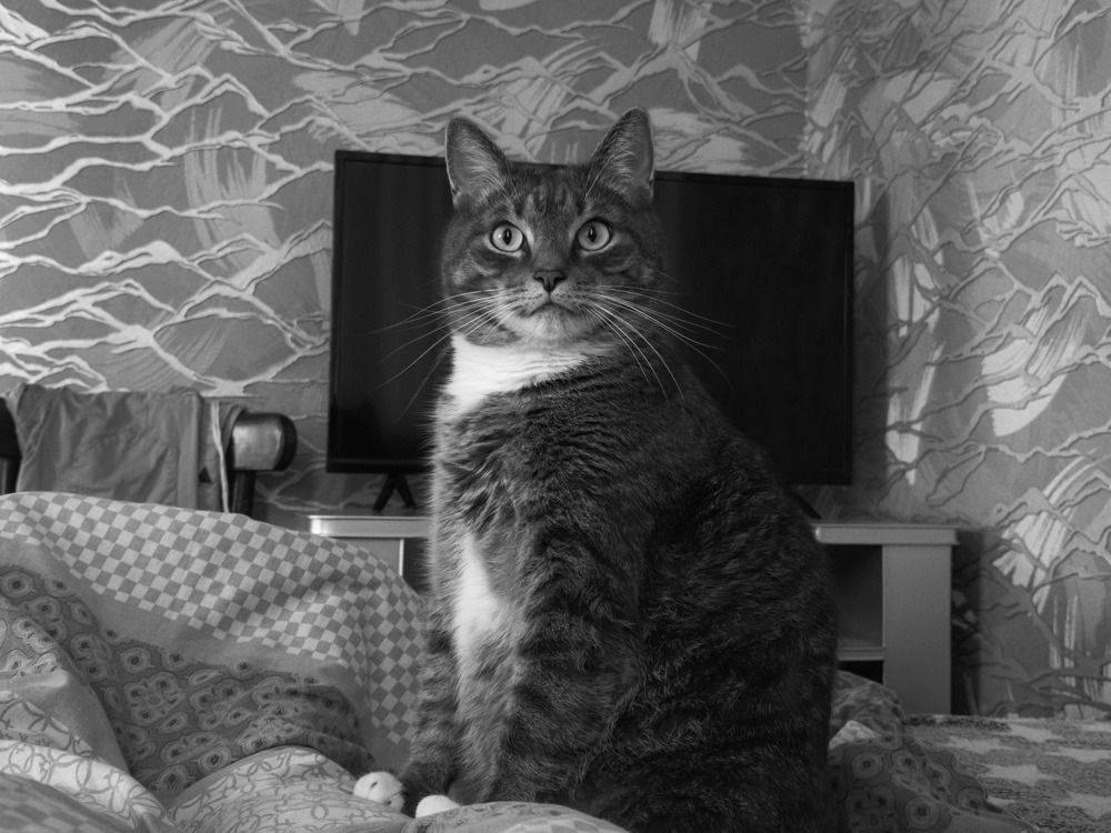 Photograph by Кирилл Сидоров