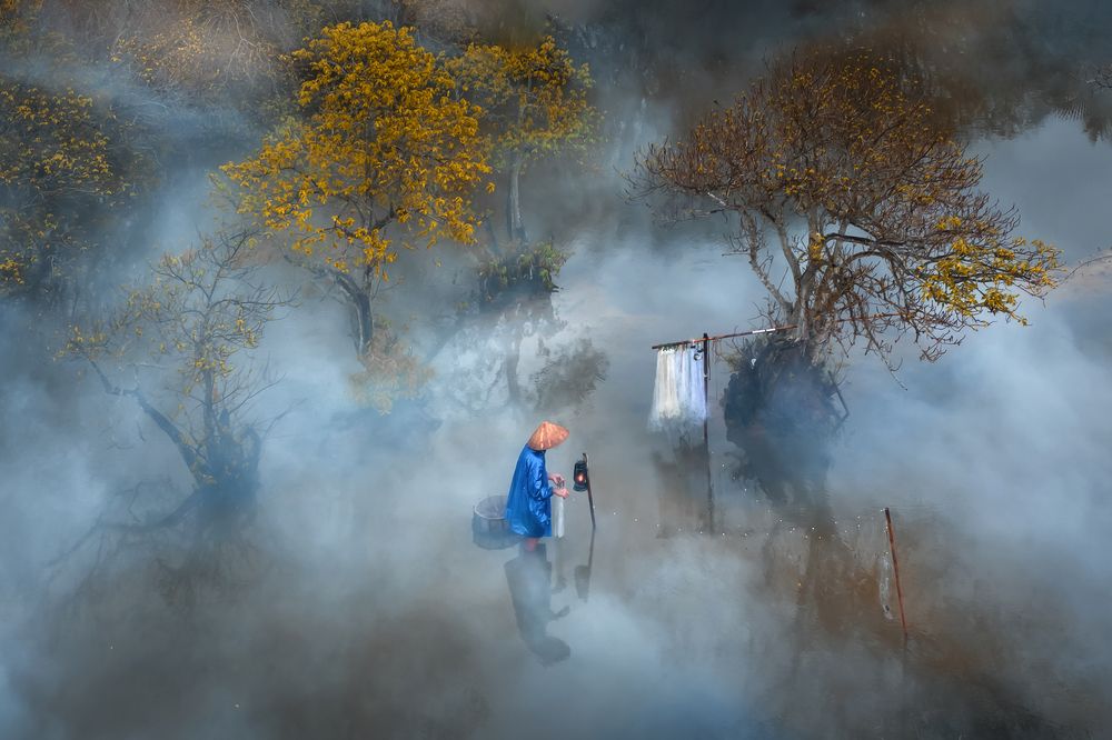 Фотография автора Pham Quynh Nga