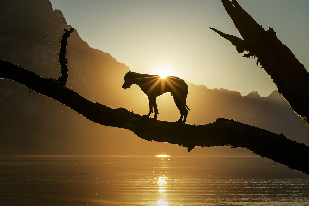 Photograph by karin bruhin