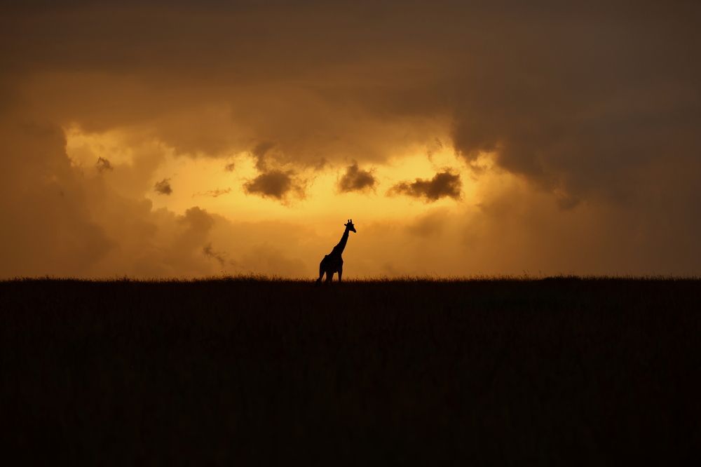 Photograph by Sanjay Risbood