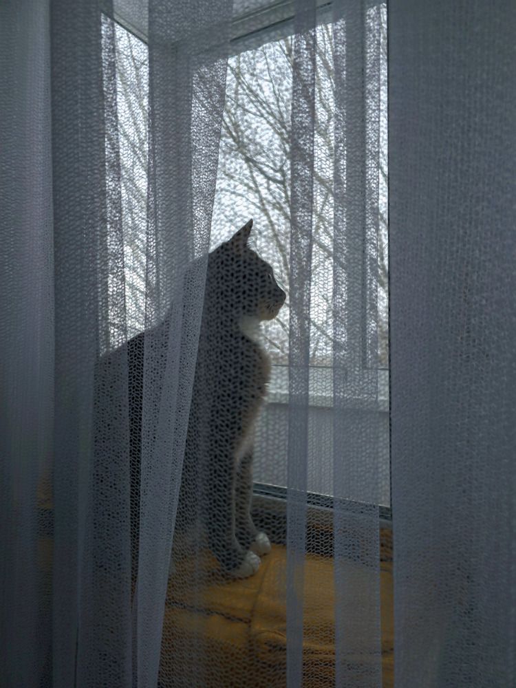 Photograph by Кирилл Сидоров