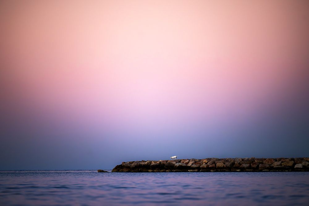 Photograph by karin bruhin