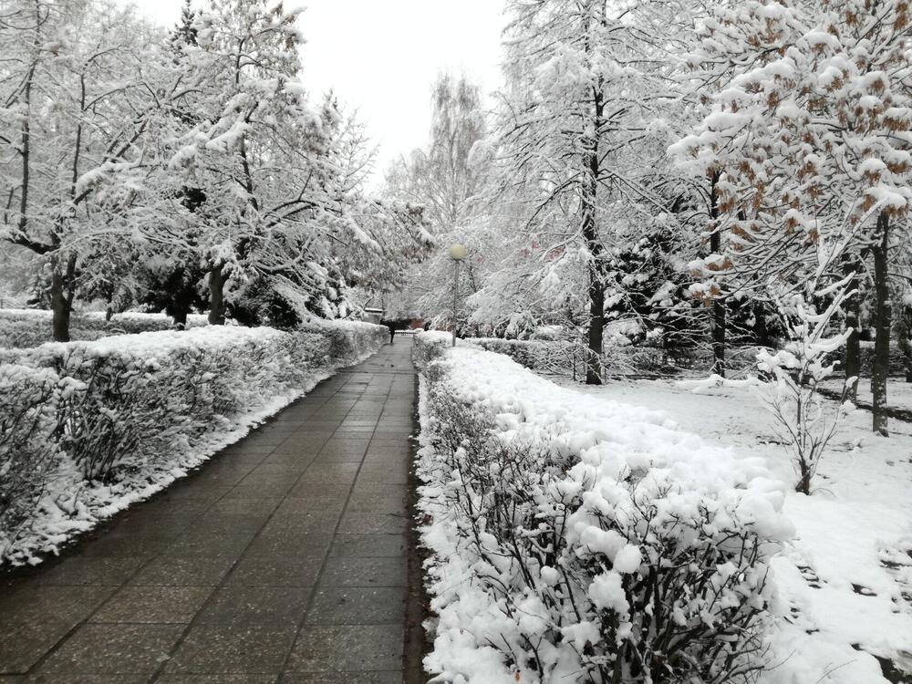 Photograph by Владимир Дмитриев