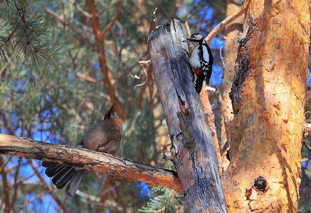 Photograph by Владилен Панченко