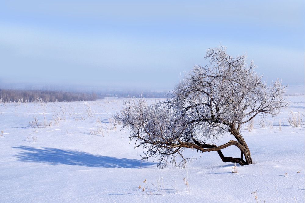 Красота круглогодична