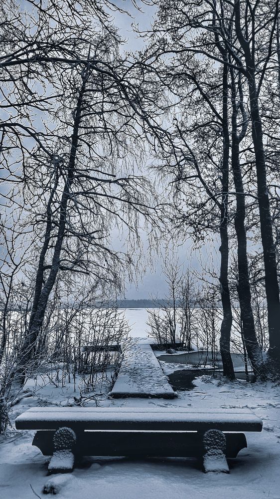 Фотография автора Дарья Бойкова