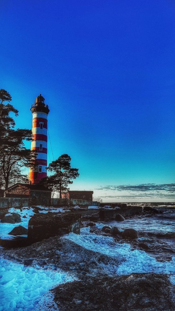 Фотография автора Дарья Бойкова
