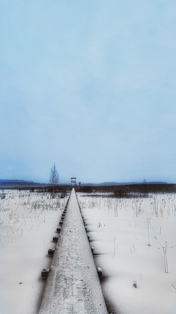 Фотография автора Дарья Бойкова