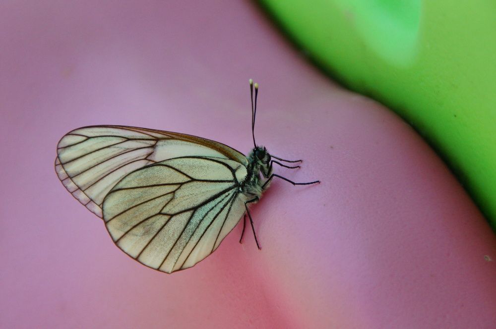 Photograph by Юрий Сычев