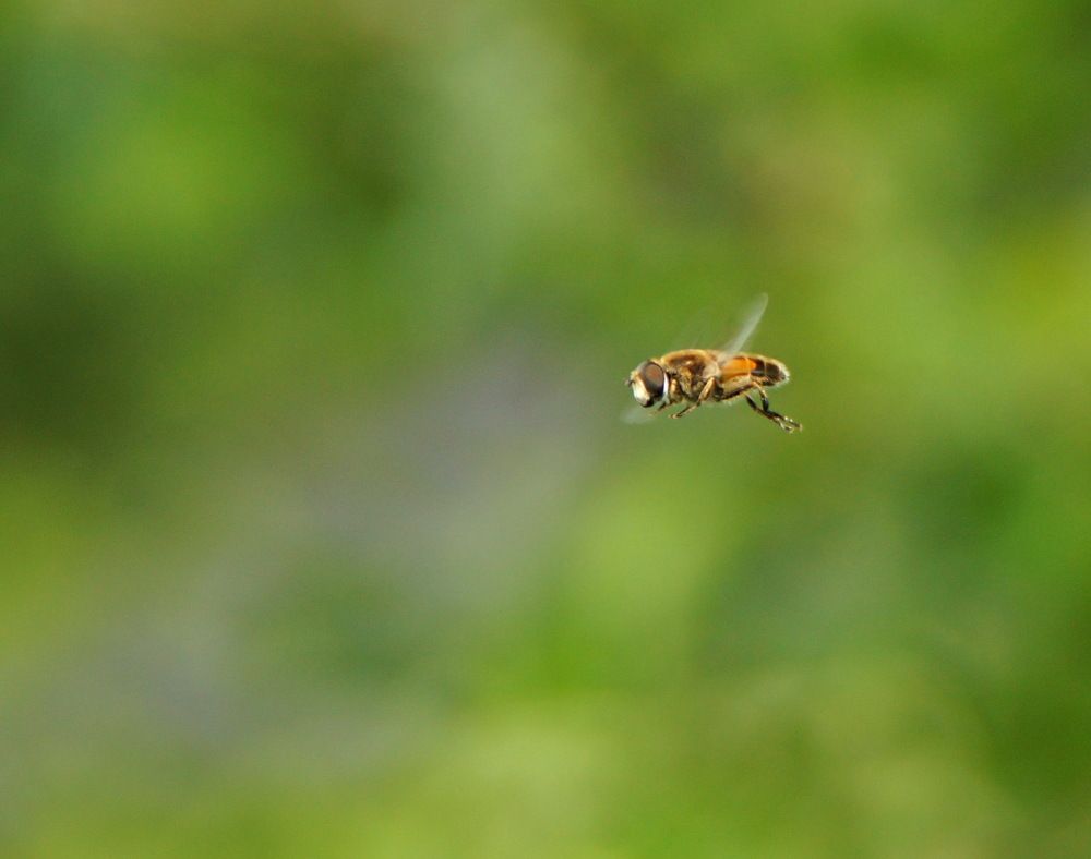 Photograph by Юрий Сычев