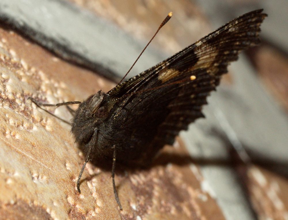 Photograph by Юрий Сычев