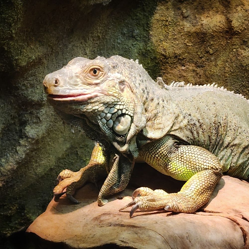 Photograph by Lera Mingova