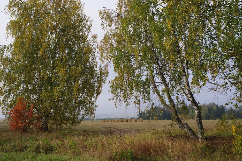 Photograph by Рашит Чумарин