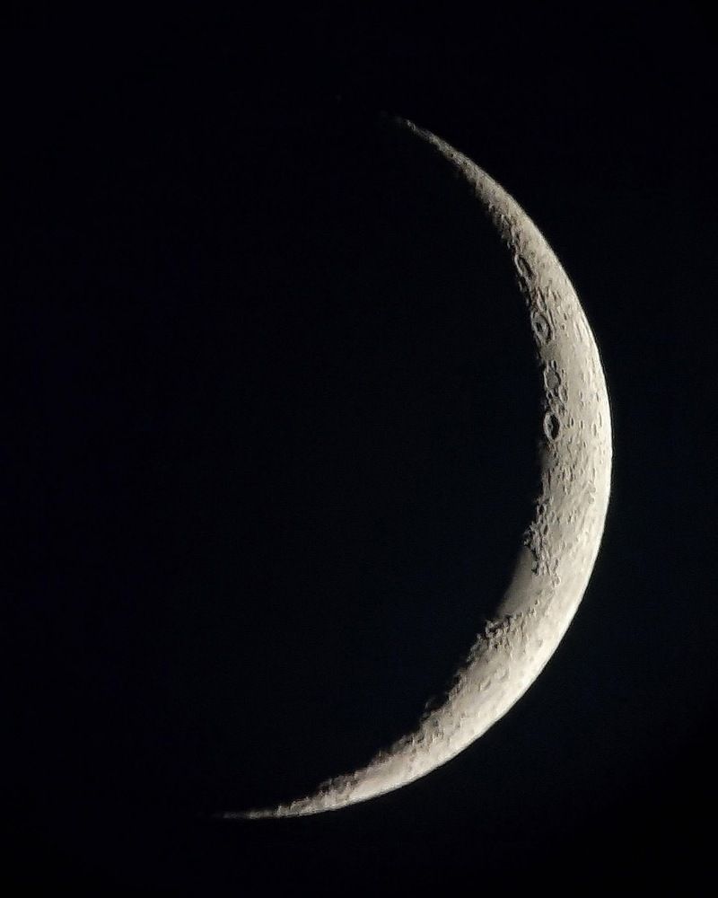 Фотография автора Алексан Арт