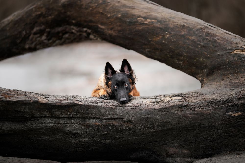 Photograph by karin bruhin