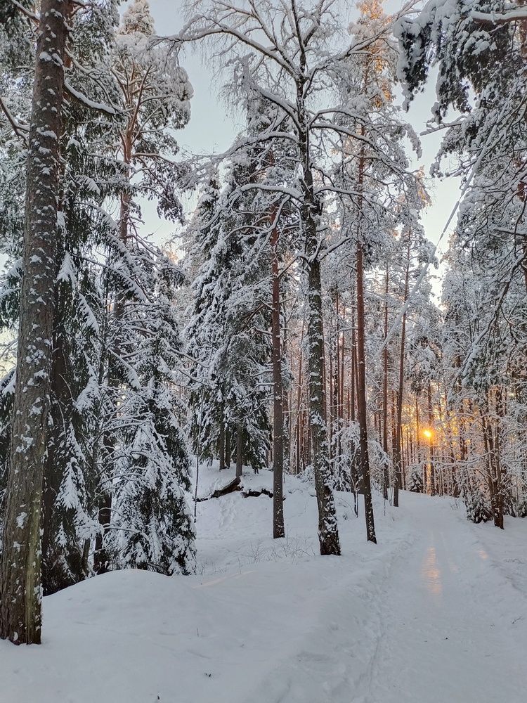 Photograph by Ирина Кузьменко