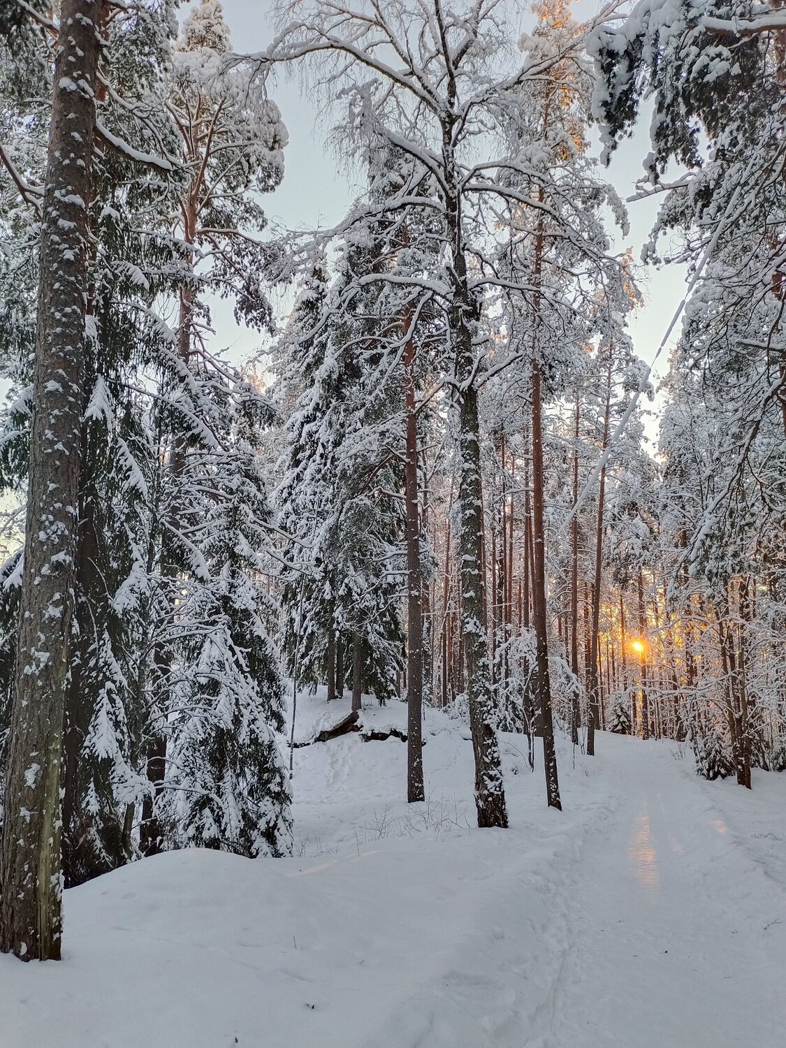 Photo #11888433