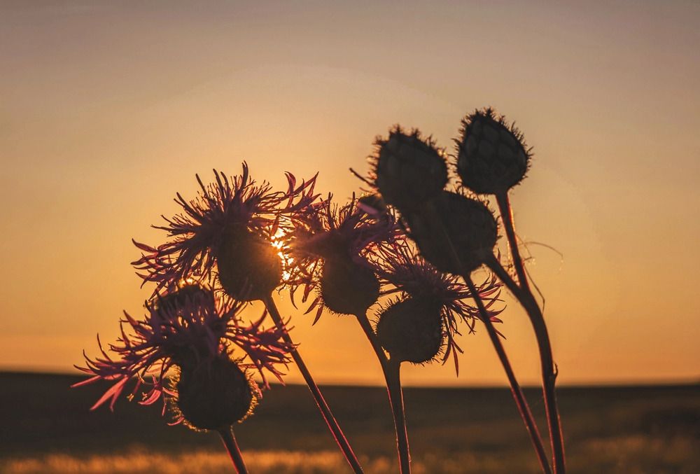 Photograph by Кирилл Сидоров