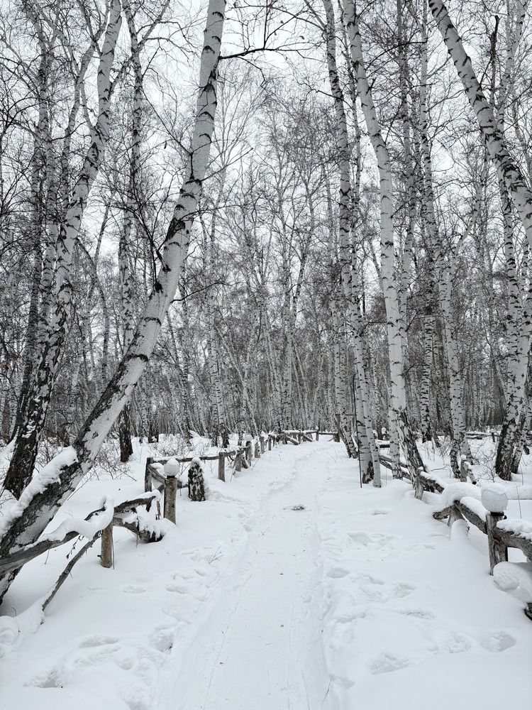 Photograph by Егор