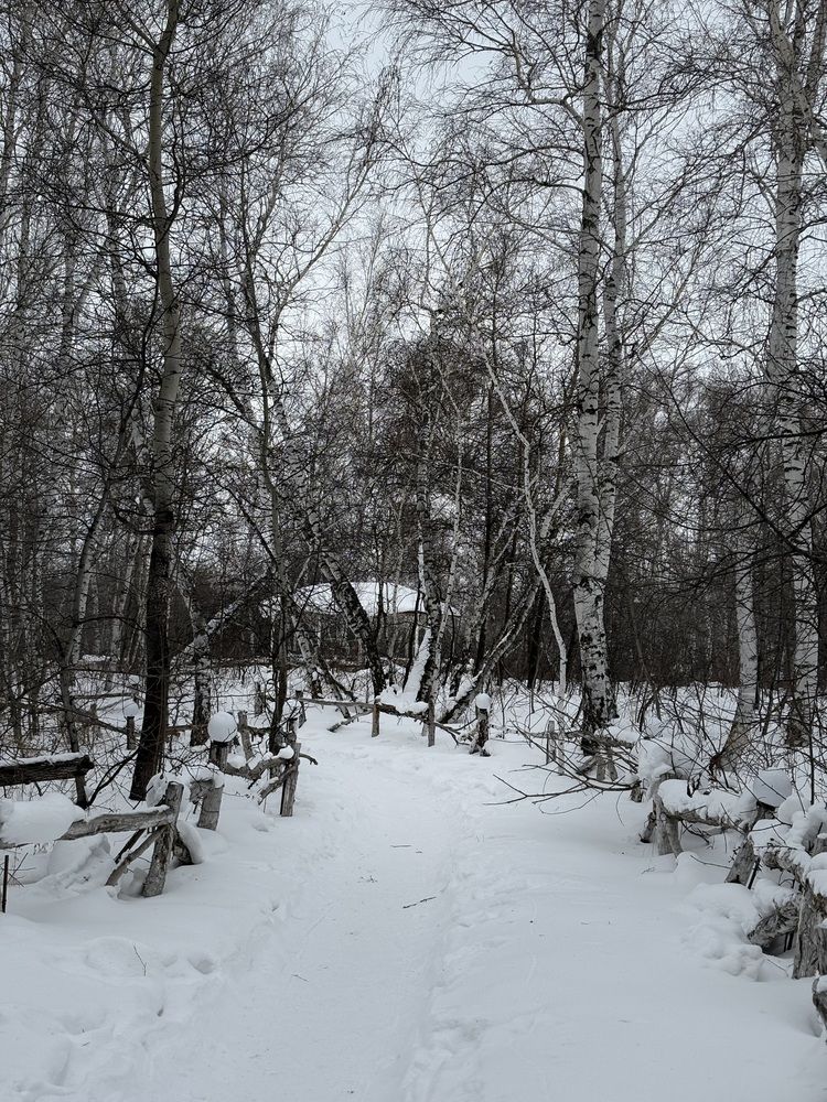 Photograph by Егор