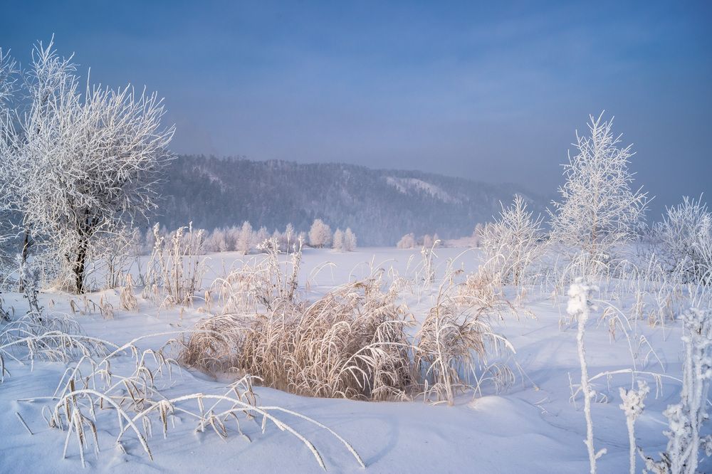 Фотография автора Андрей Ткаченко