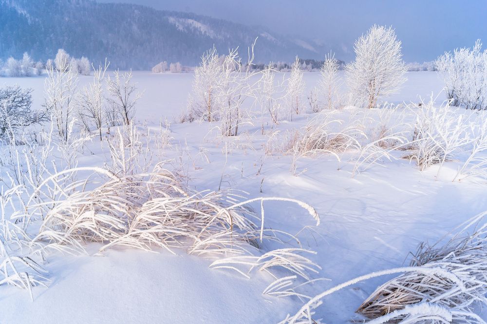 Фотография автора Андрей Ткаченко