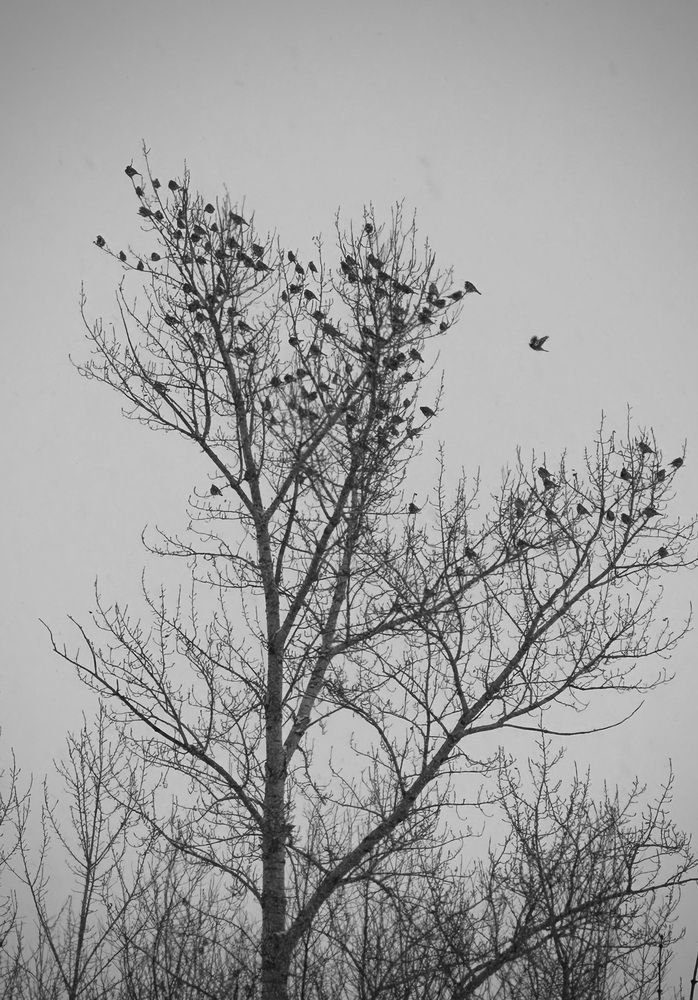 Photograph by Ксения Гулькова