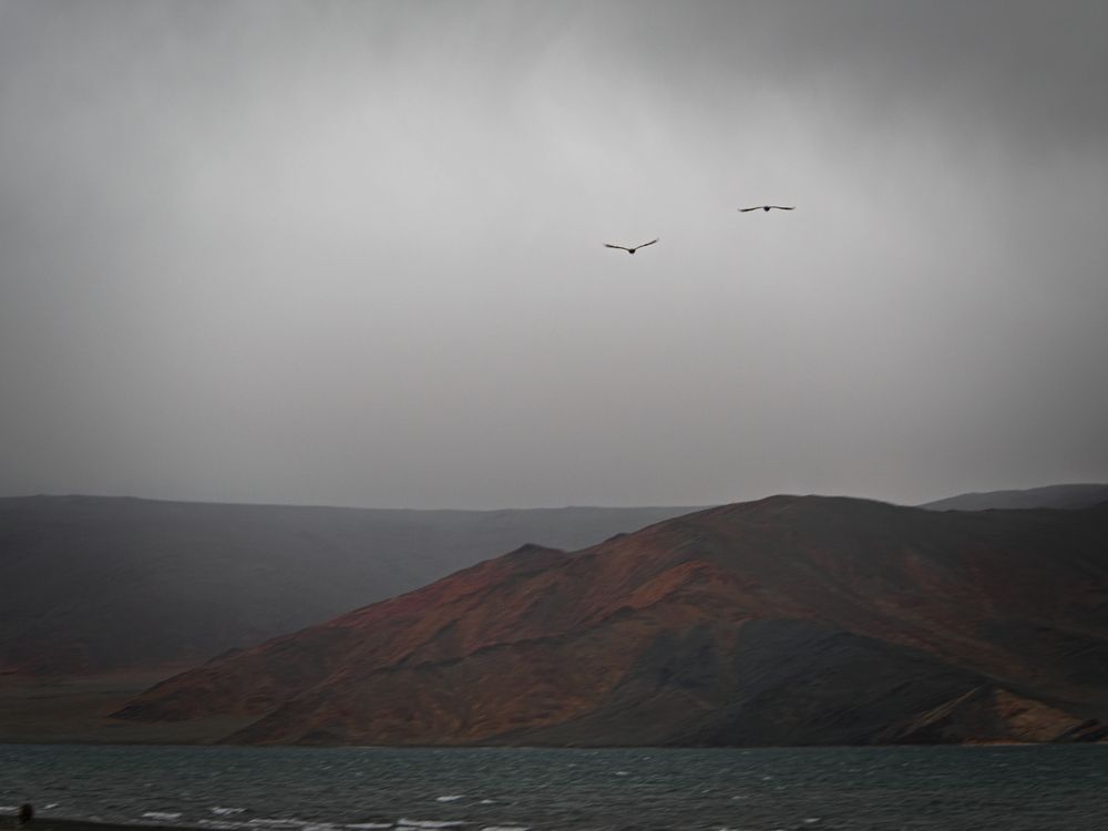 Photograph by Андрей Куприенко