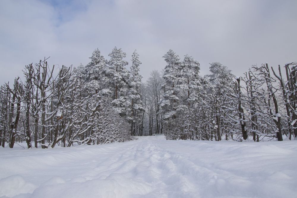 Photograph by Анна Васильева