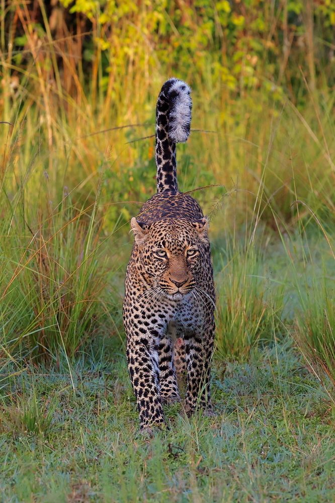 Photograph by Sanjay Risbood