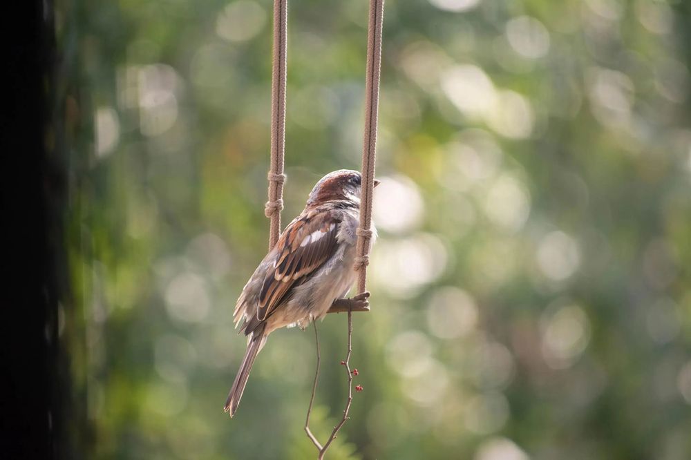 Photograph by Сергей Вознесенский