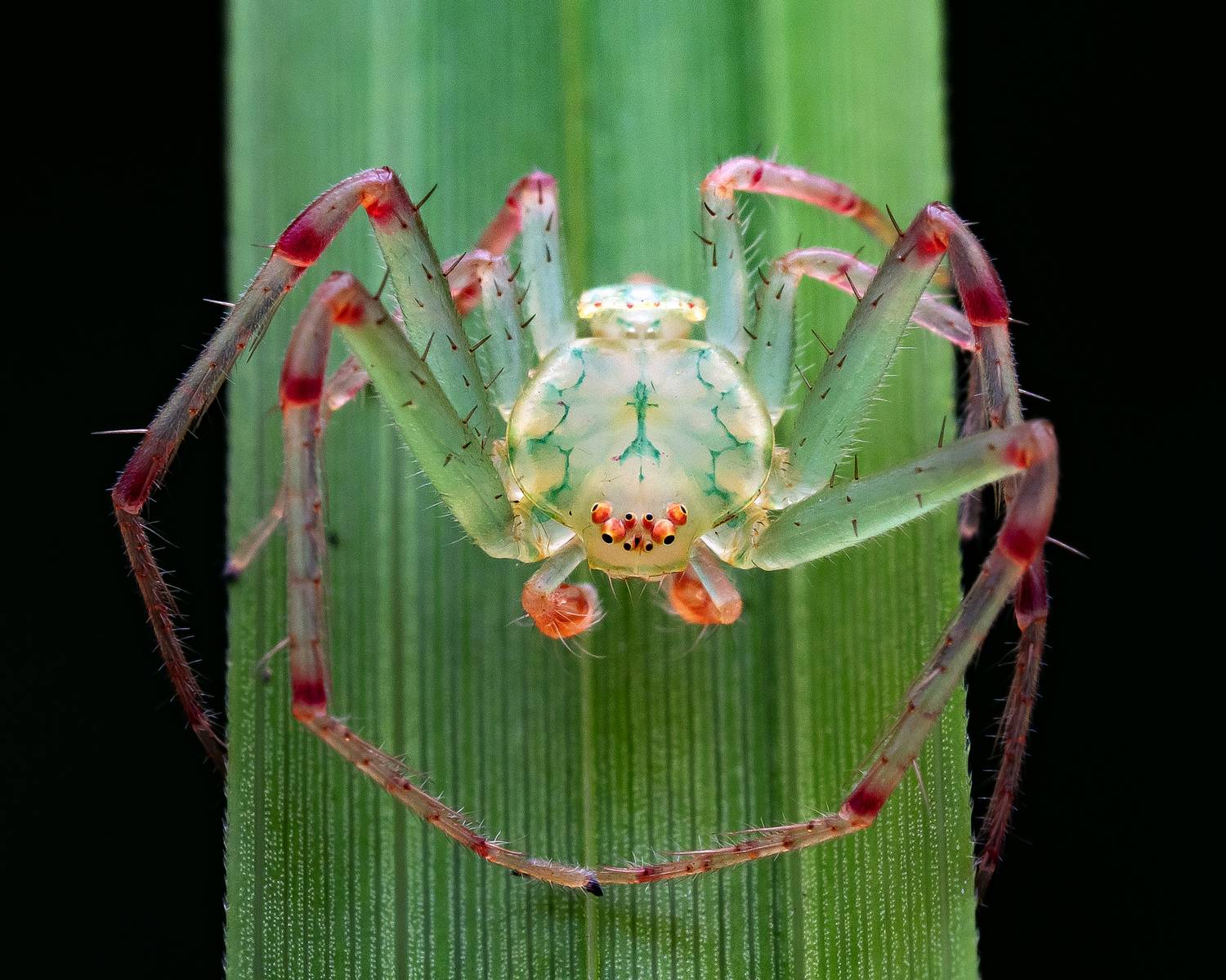 Фотография #11888700