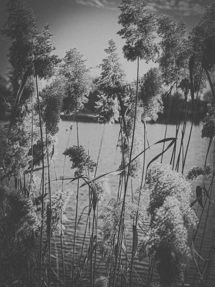 Фотография автора Берлиоз Бегемот